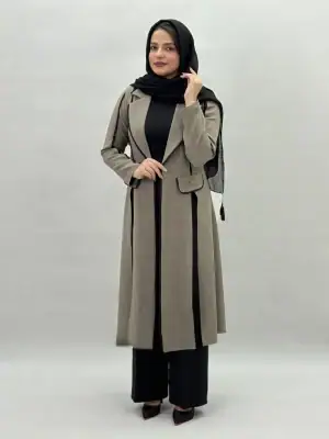 میشی